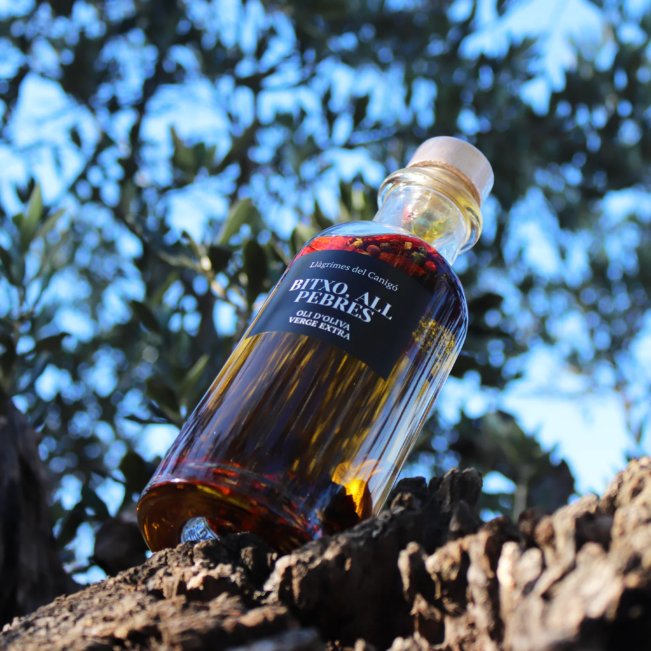 Spicy Chili, Garlic & Pepper Infused Extra Virgin Olive Oil – 250ml / 8.45 fl oz – Llàgrimes del Canigó-2