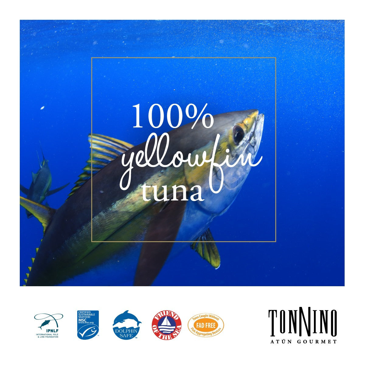 Tonnino Tuna Fillets In Spring Water (6x6.7 OZ)-2
