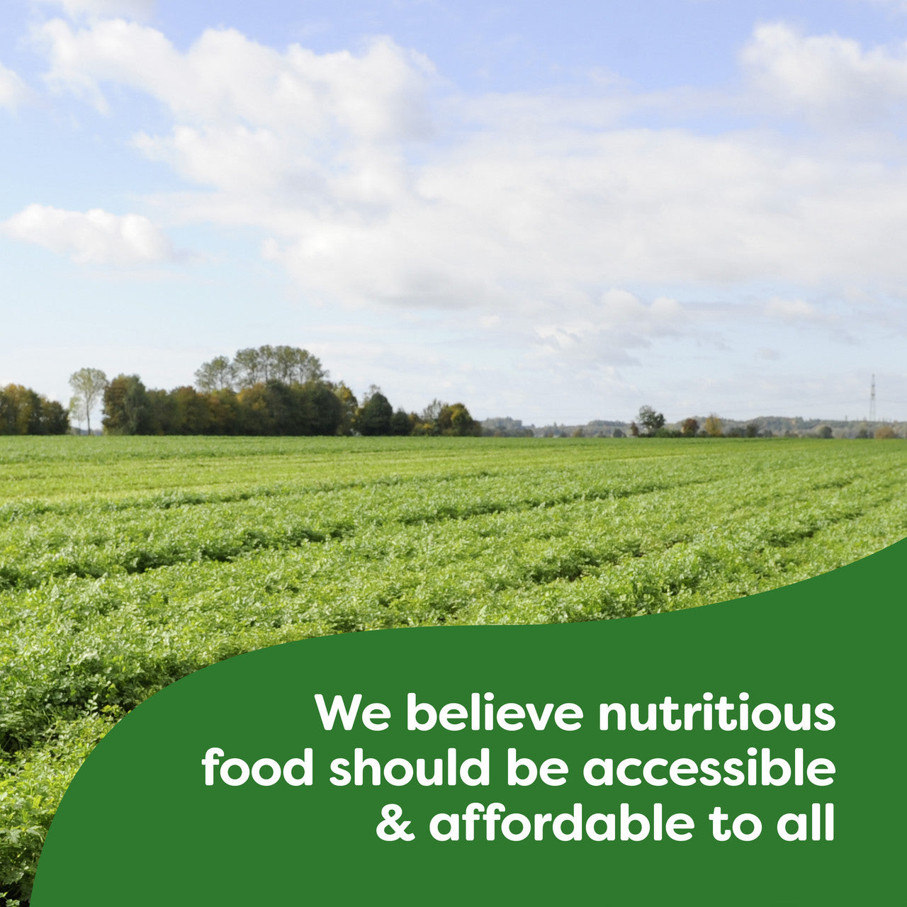 Knorr Hollandaise Sauce (12x0.9Oz)-2