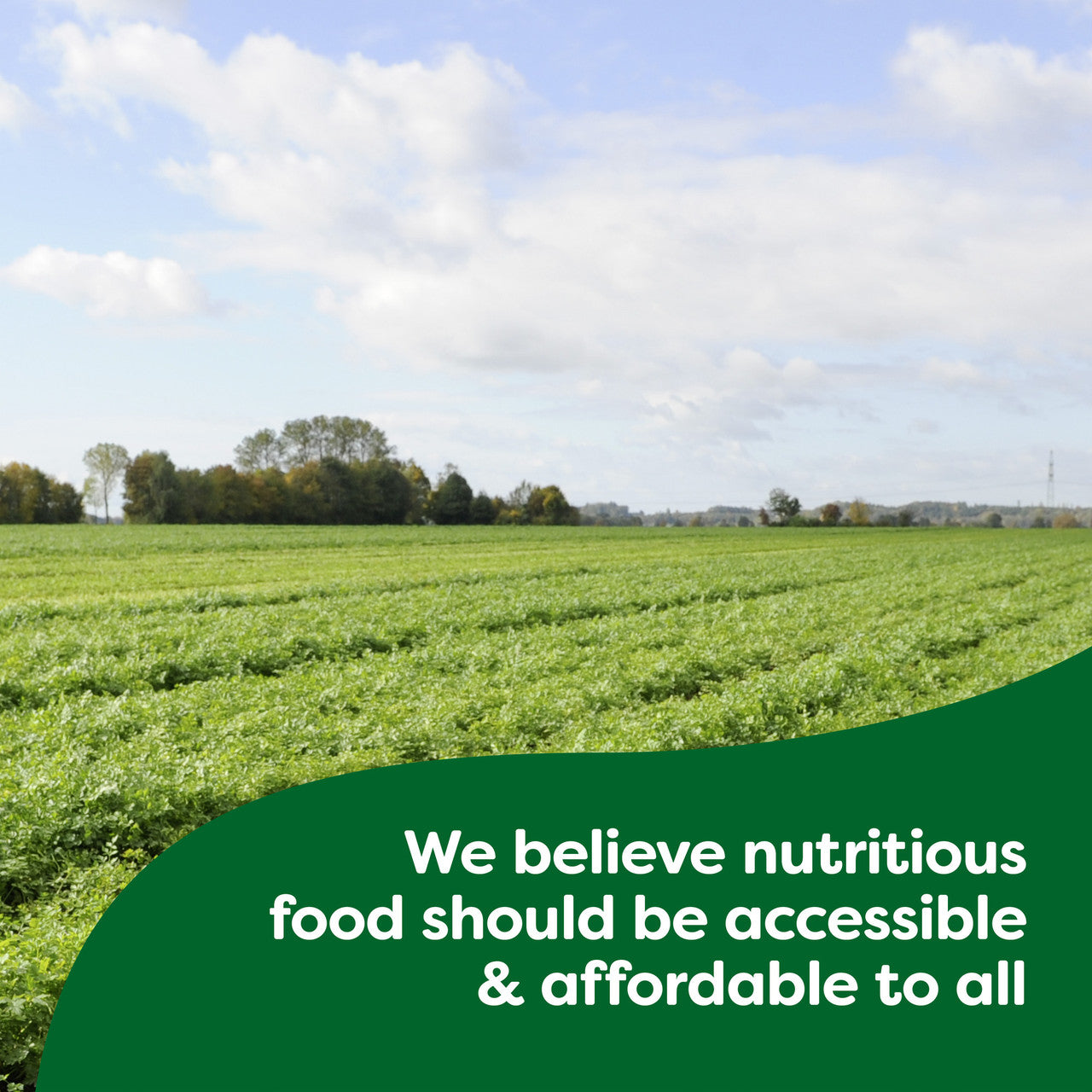 Knorr Pasta Sauces Garlic Herb Sauce Mix (12x1.6Oz)-4