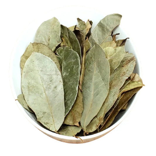 Soursop Leaves Dried-1