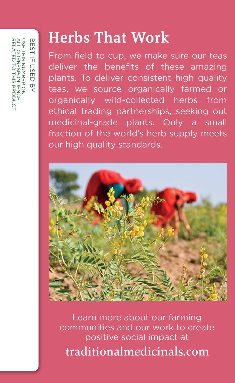 Traditional Medicinals Mother's Milk Herb Tea (6x16 Bag)-2