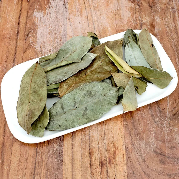 Soursop Leaves Dried-2
