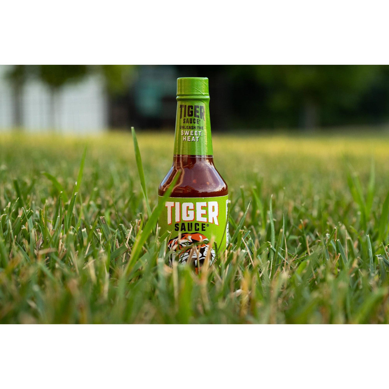Try Me Tiger Sauce (6x5OZ )-7