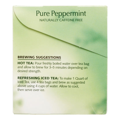 Twinings Pure Peppermint Tea (6x20 Bag)-1