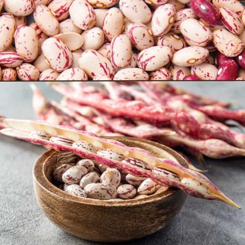 Africa Select Crab Eye Beans 3kg | Premium Borlotti Beans for Soups, Stews & Salads | Family Pack