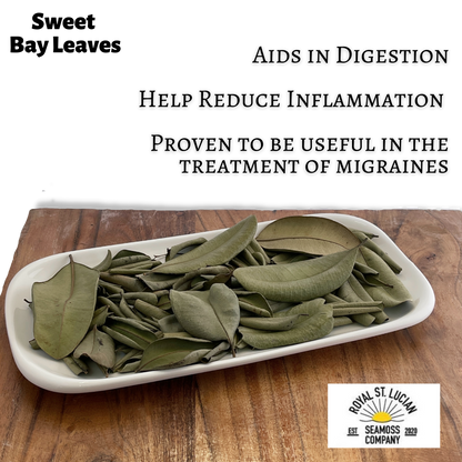 Sweet Bay Leaves | Whole, Aromatic Culinary Leaves-1