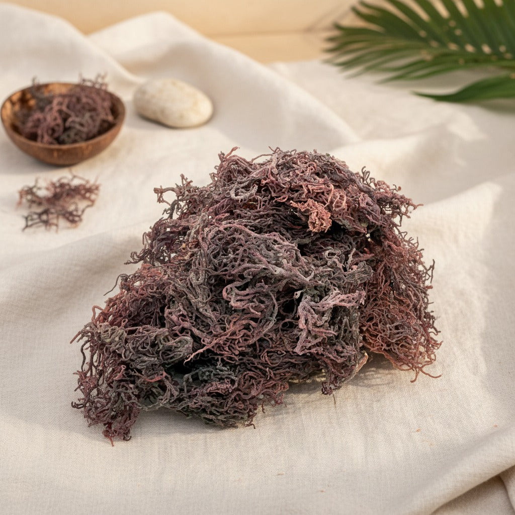 St. Lucian Purple Sea Moss-0