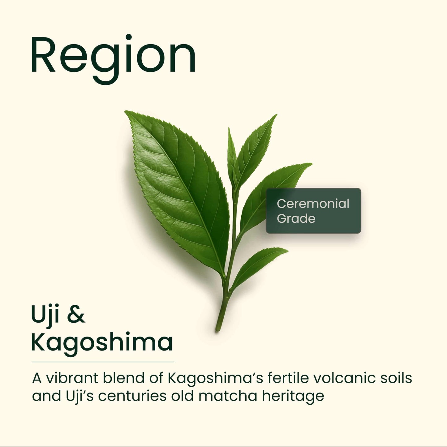Heapwell Matcha Powder - 50g | High Grade Japanese Premium Green Tea Powder | Great Taste Award Winner | Perfect for Tea, Lattes & Smoothies | Contains L-Theanine & Antioxidants | Vegan & Gluten-Free