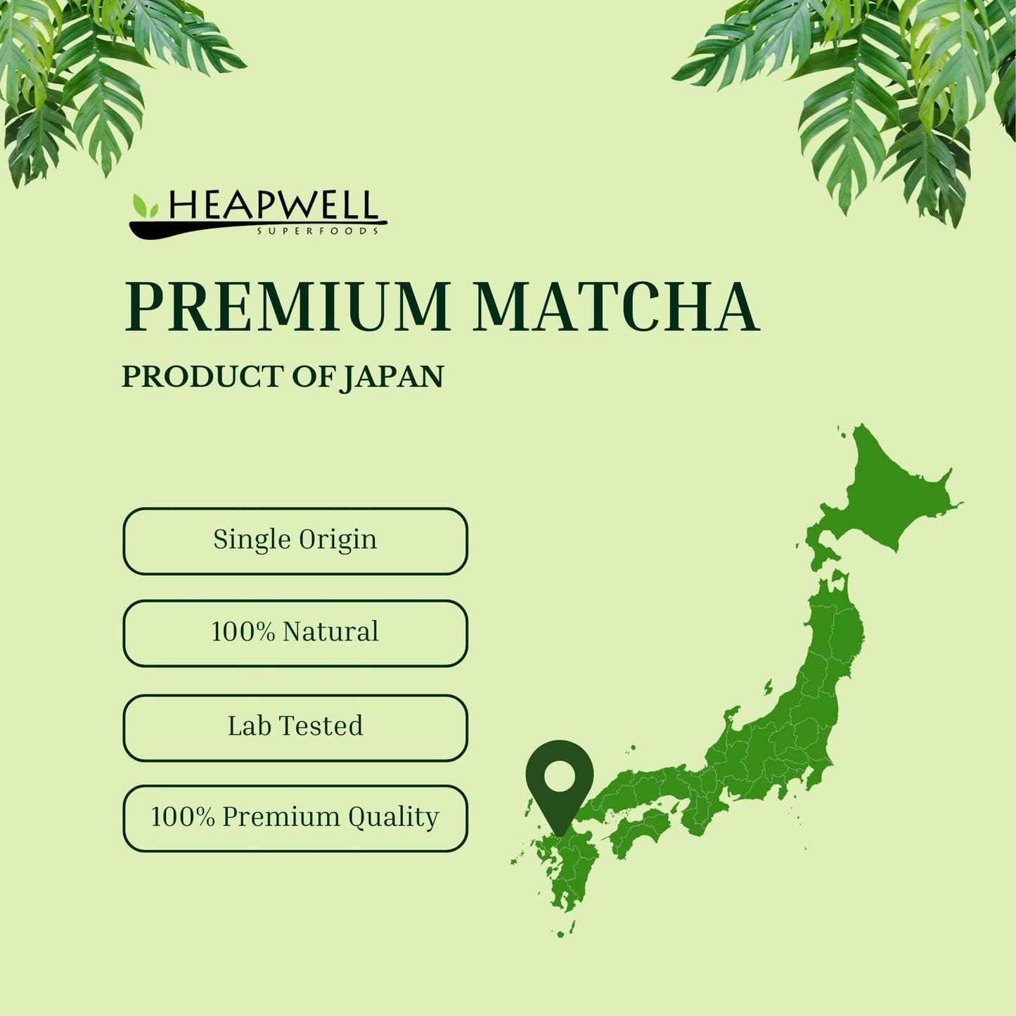 Heapwell Matcha Powder - 50g | High Grade Japanese Premium Green Tea Powder | Great Taste Award Winner | Perfect for Tea, Lattes & Smoothies | Contains L-Theanine & Antioxidants | Vegan & Gluten-Free