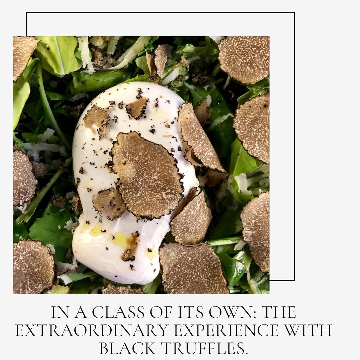 Spartacus Whole Black Truffle Natural Aroma, NO ADDITIVES OR PRESERVATIVES (Whole Truffle 10g)