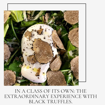 Spartacus Whole Black Truffle Natural Aroma, NO ADDITIVES OR PRESERVATIVES (Whole Truffle 10g)