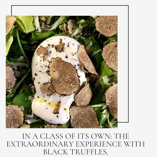 Spartacus Whole Black Truffle Natural Aroma, NO ADDITIVES OR PRESERVATIVES (Whole Truffle 10g)