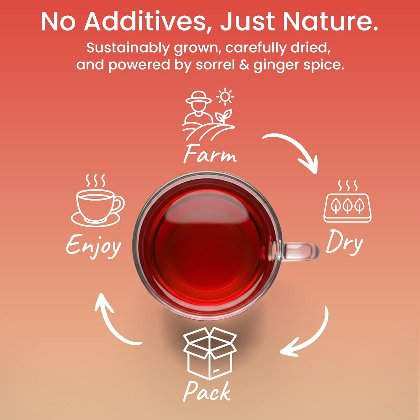 Dalgety Sorrel/Hibiscus & Ginger Herbal Infusion 3x45g Cartons (3 Pack) 100% Natural, Caffeine-Free Tea (Total 54 Teabags); Our Delicious Tea Builds the Immune System, Fights Fatigue & Boosts Energy