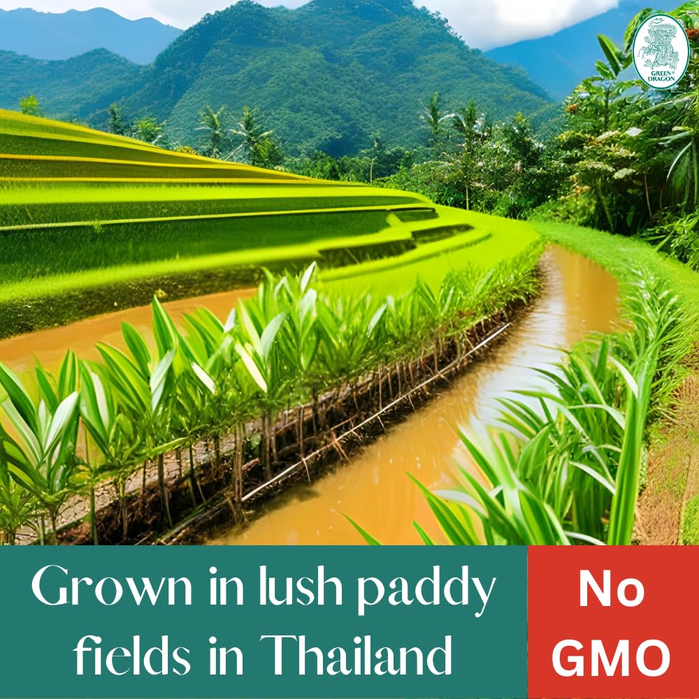 Green Dragon Thai Fragrant Jasmine Rice 10KG | Thai Hom Mali | AAA | Premium Rice | White Rice | Chinese Ingredients | Chinese Asian Cooking | 10KG