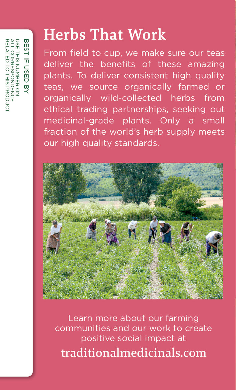 Traditional Medicinals Pregnancy Herb Tea (6x16 Bag)-2