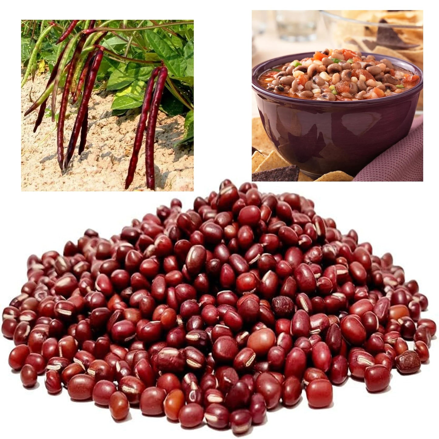 Africa Select Red Cow Peas 1.5kg | Premium Quality Legumes for Stews, Soups & Curries