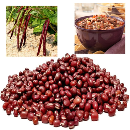 Africa Select Red Cow Peas 1.5kg | Premium Quality Legumes for Stews, Soups & Curries