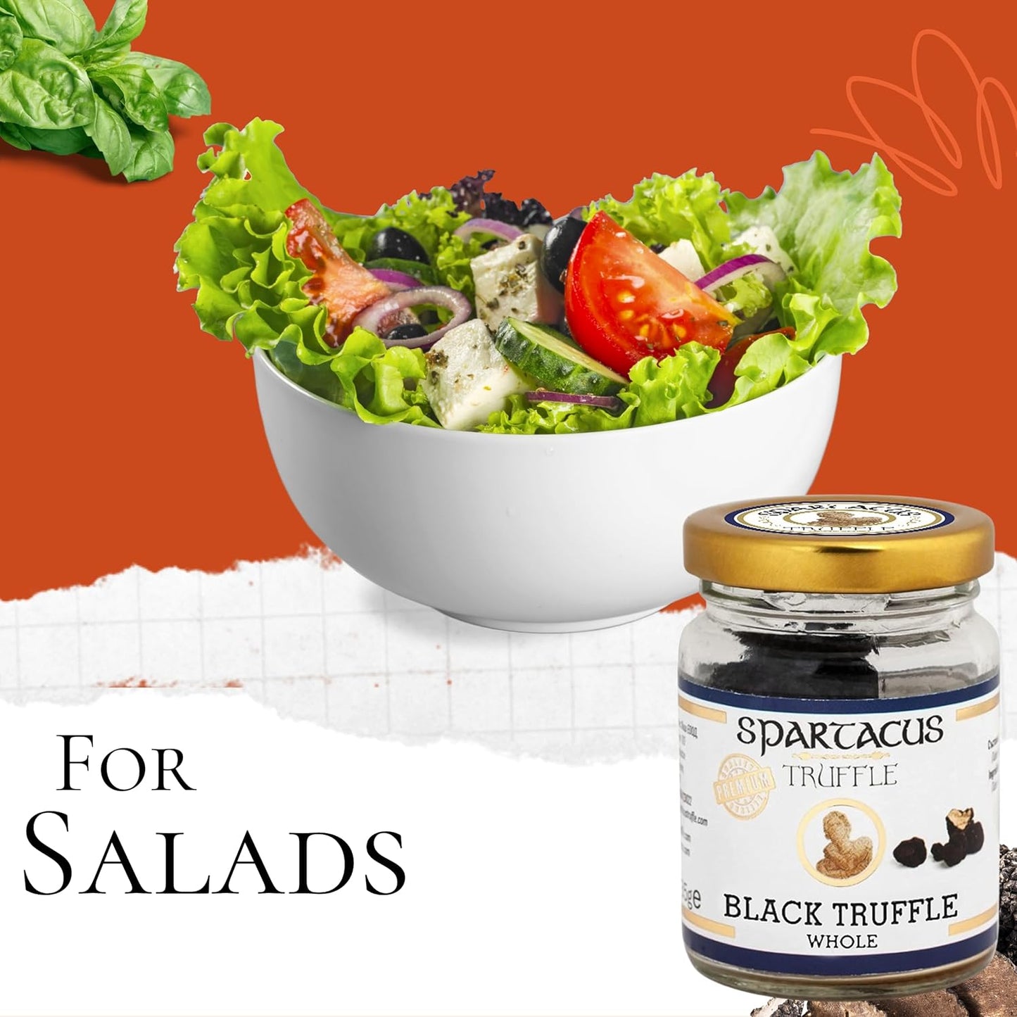 Spartacus Whole Black Truffle Natural Aroma, NO ADDITIVES OR PRESERVATIVES (Whole Truffle 10g)