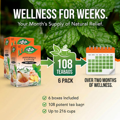 Dalgety Peppermint and Ginger Herbal Infusion 40g Cartons (3 Pack) 100% Natural, Caffeine Free Tea (Total 54 Teabags); Delicious and Packed with Unique Health Benefits