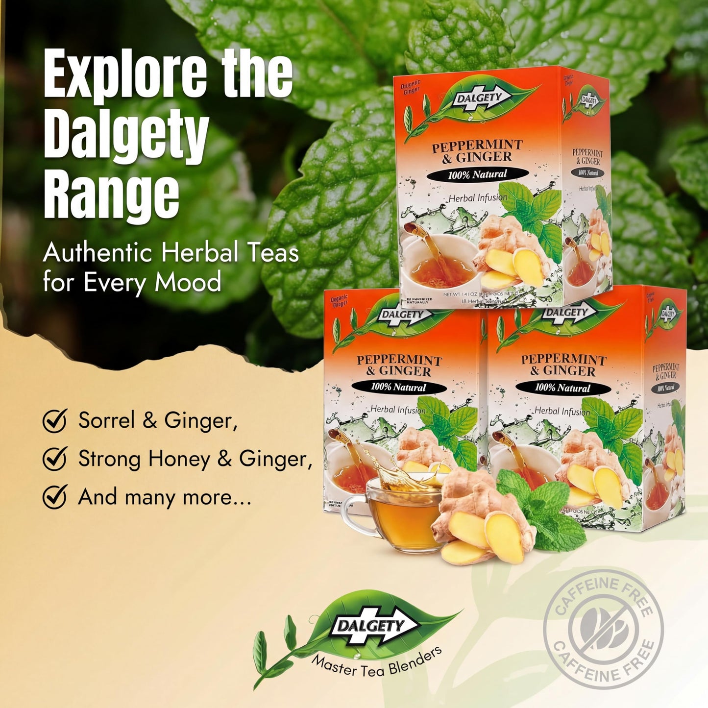 Dalgety Peppermint and Ginger Herbal Infusion 40g Cartons (3 Pack) 100% Natural, Caffeine Free Tea (Total 54 Teabags); Delicious and Packed with Unique Health Benefits