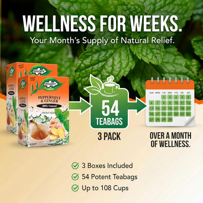 Dalgety Peppermint and Ginger Herbal Infusion 40g Cartons (3 Pack) 100% Natural, Caffeine Free Tea (Total 54 Teabags); Delicious and Packed with Unique Health Benefits