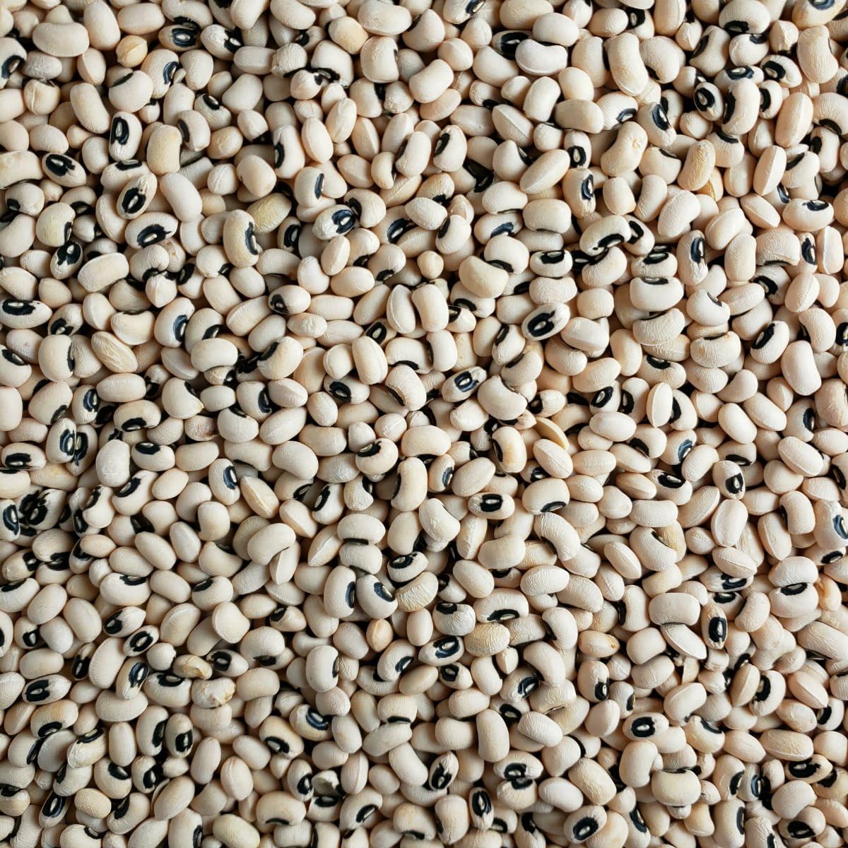 Africa Select Black Eye Beans 1.5kg | Premium Quality Beans for Stews, Soups & Salads
