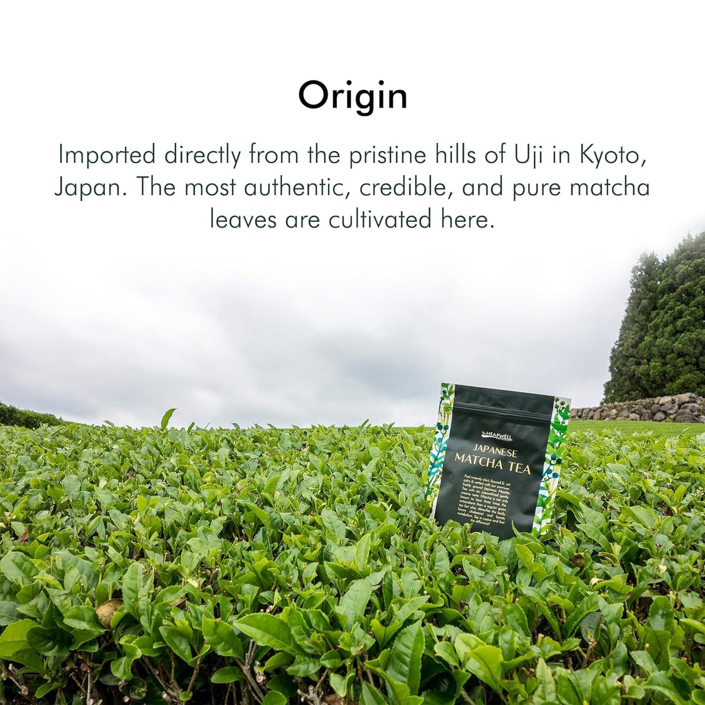 Heapwell Matcha Powder - 50g | High Grade Japanese Premium Green Tea Powder | Great Taste Award Winner | Perfect for Tea, Lattes & Smoothies | Contains L-Theanine & Antioxidants | Vegan & Gluten-Free