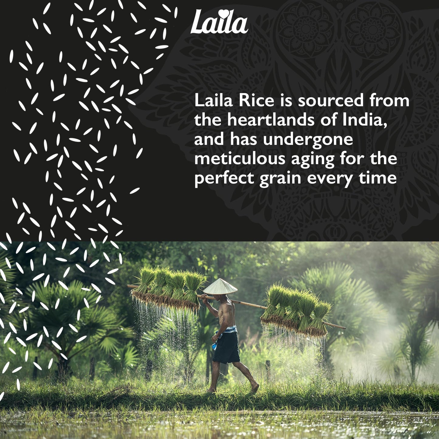 Laila Extra Long Grain Rice 5 Kg - 100 % Gluten Free - Extra Long Grain White Basmati Rice with Aroma Fragrant, Package May Vary