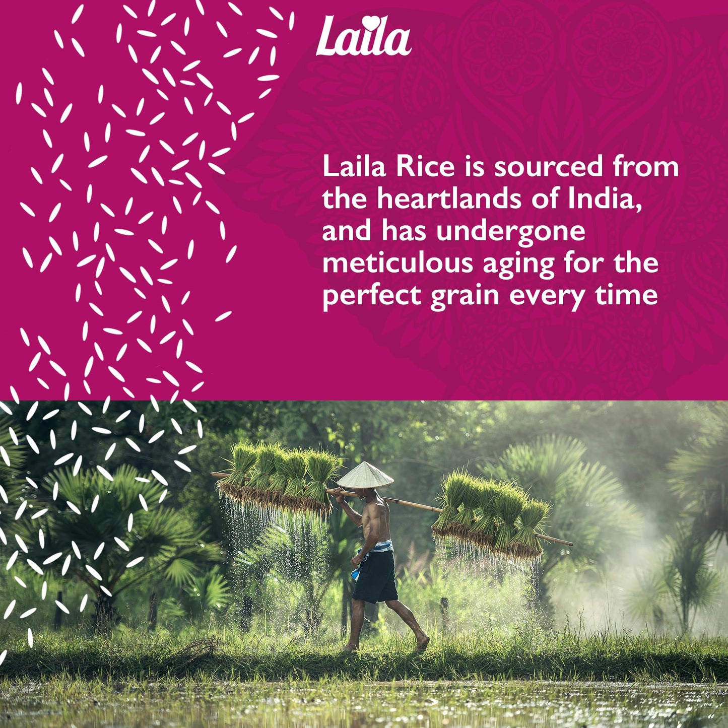 Laila Pudding Rice 2Kg Pack, Short Grain Pudding Rice for Milk Pudding & Rice Pudding, Plump Short Grain Rice for Desserts, Gluten Free Rice Pudding Rice