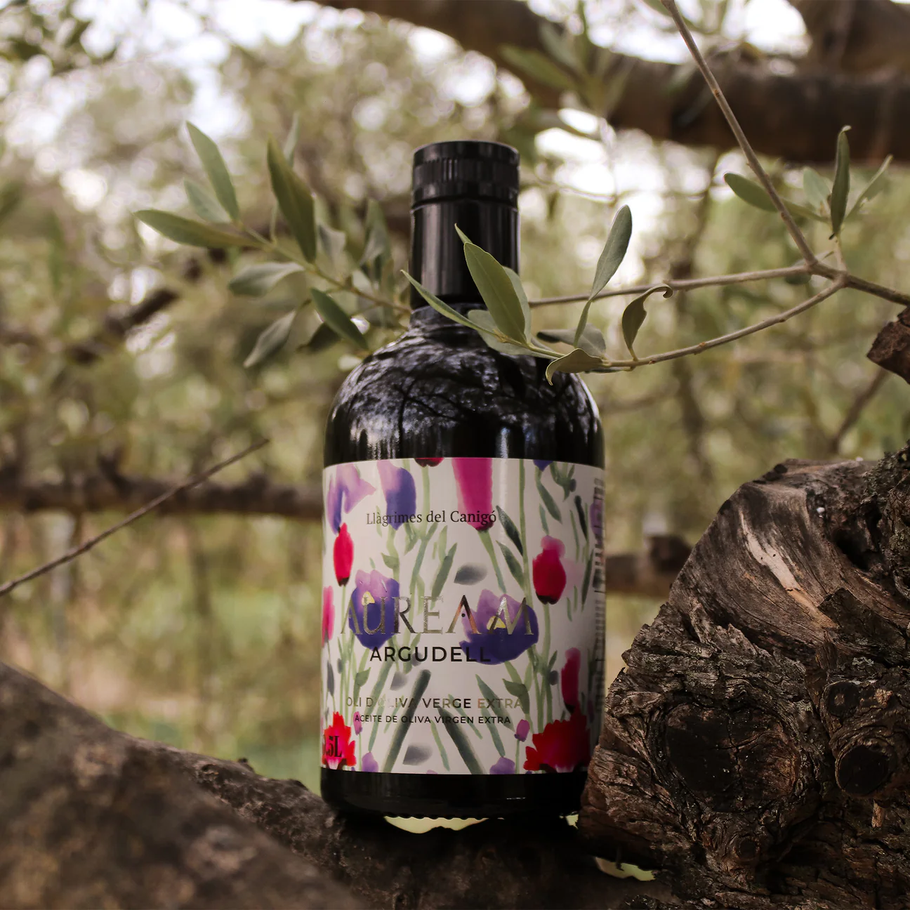 Auream Argudell – Premium Spanish Extra Virgin Olive Oil (EVOO) 500ml (16.9 fl oz) – Llàgrimes del Canigó-3