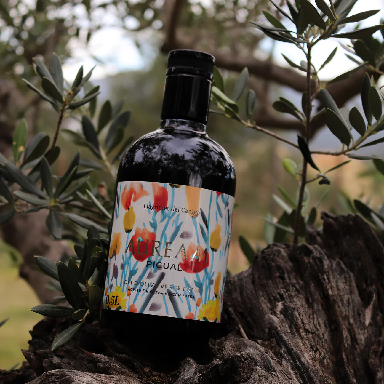 Auream Picual – Premium Spanish Extra Virgin Olive Oil (EVOO) 500ml (16.9 fl oz) – Llàgrimes del Canigó-2