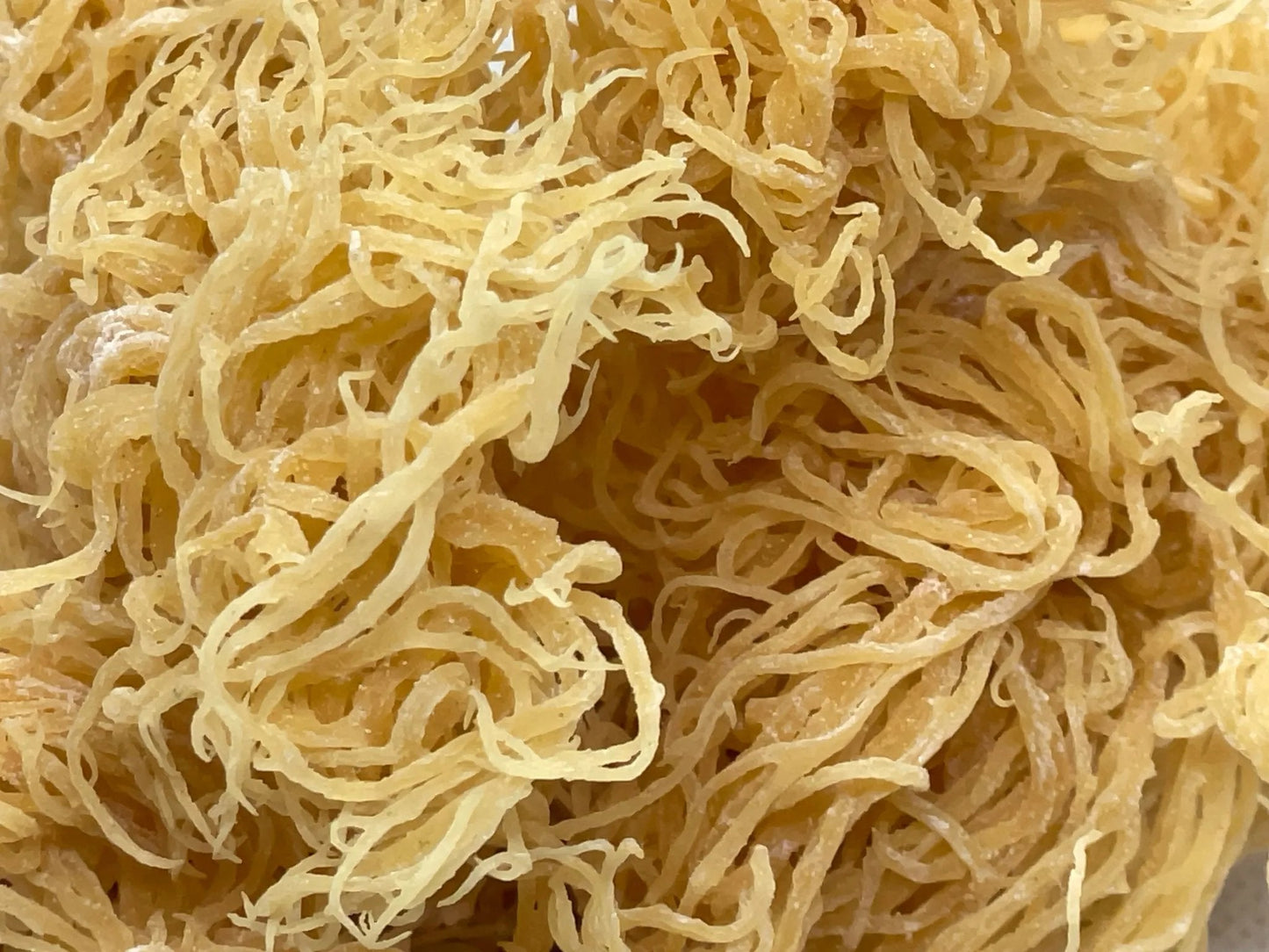 🌊 Premium St. Lucian Gold Seamoss-1