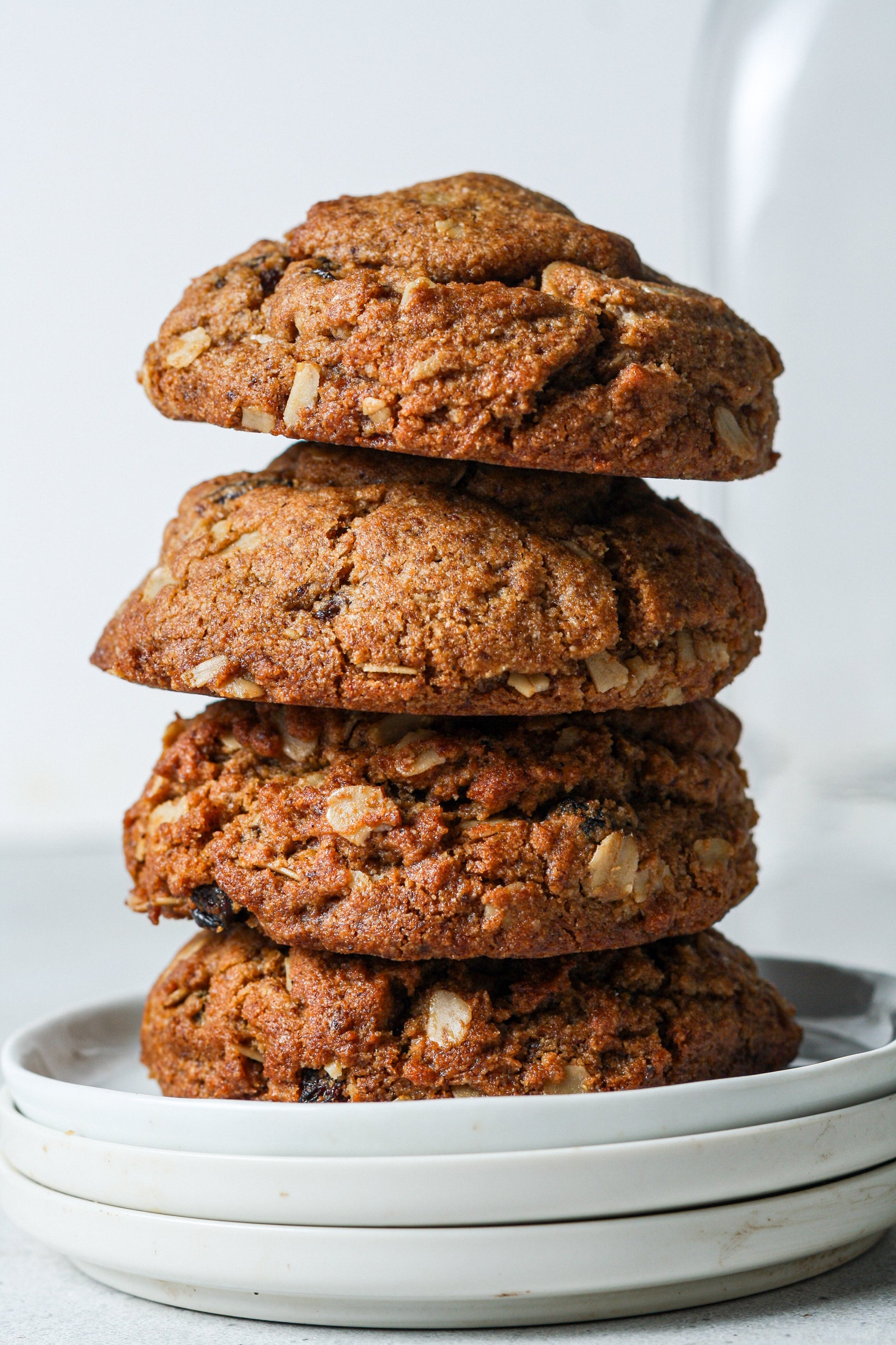 Oatmeal Raisin Cookies-1
