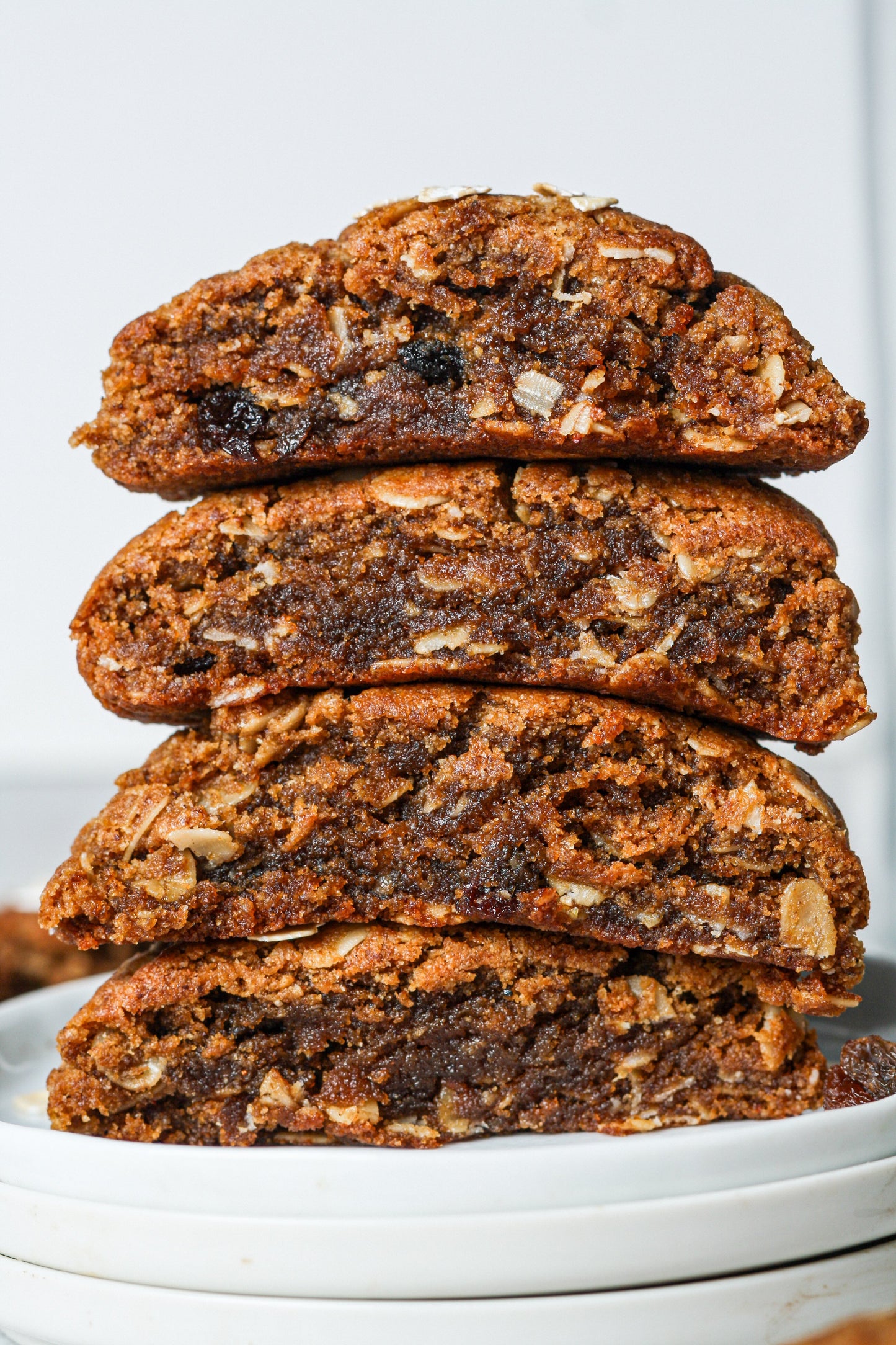 Oatmeal Raisin Cookies-0