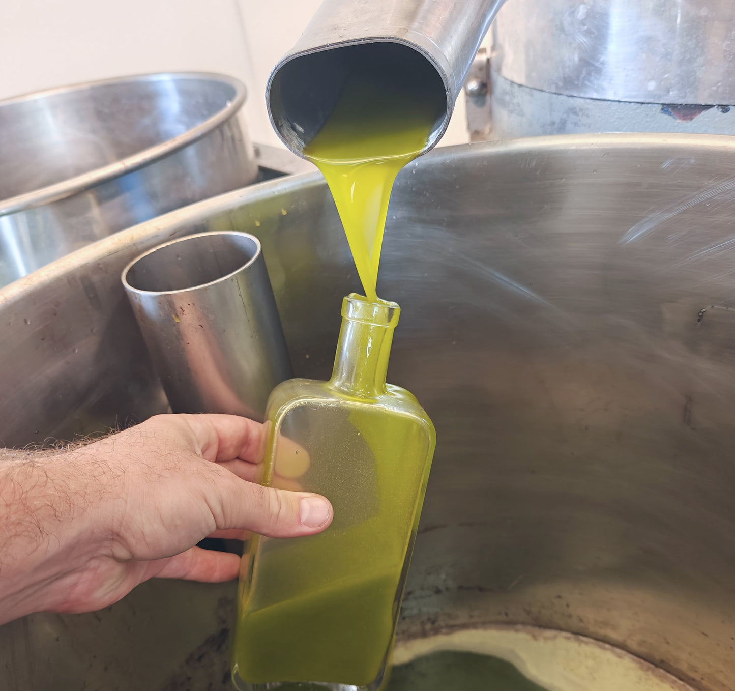 Oli del Raig 2025 – Early Harvest Unfiltered Olive Oil 500ml / 16 fl oz – Argudell Variety – Llàgrimes del Canigó-2