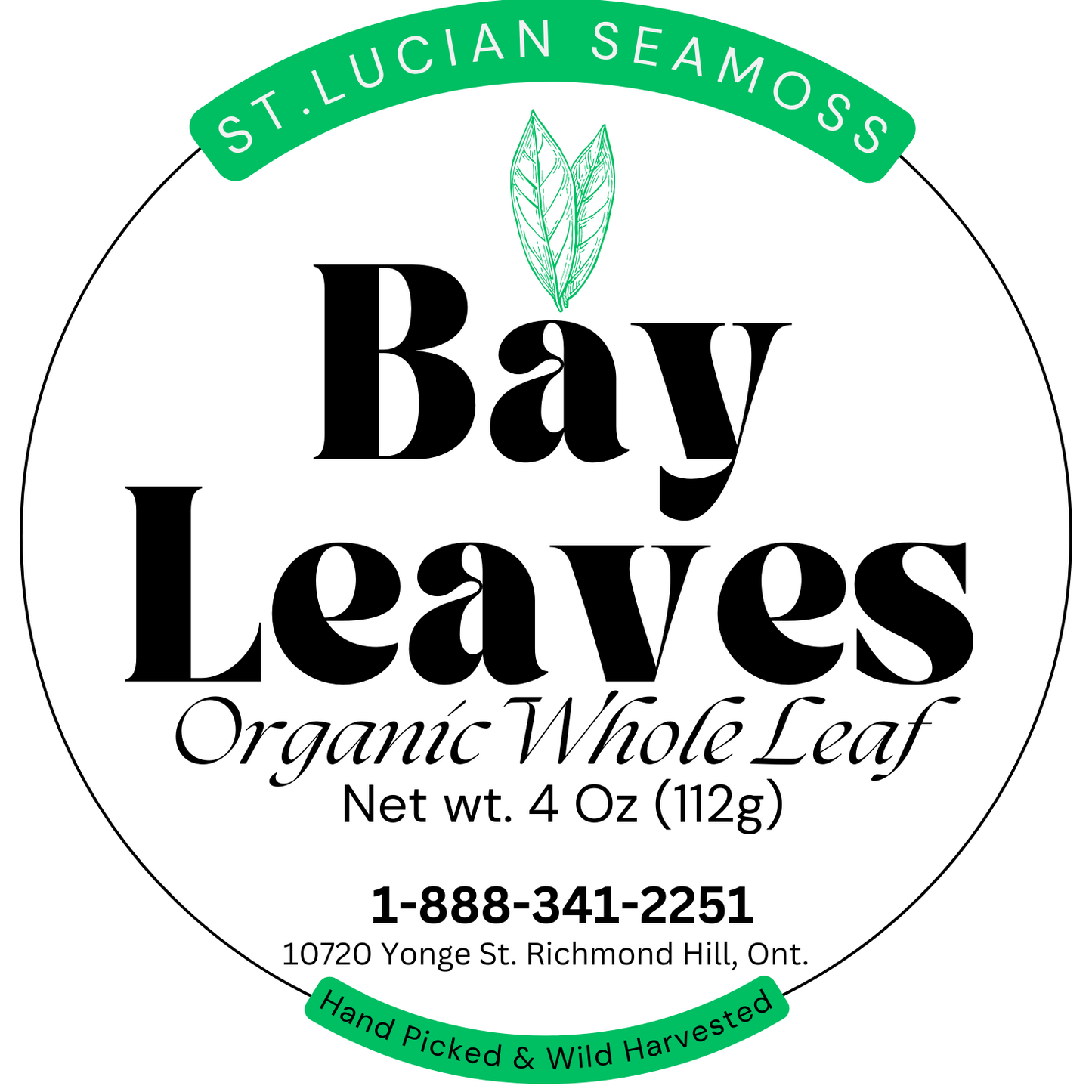 Sweet Bay Leaves | Whole, Aromatic Culinary Leaves-3