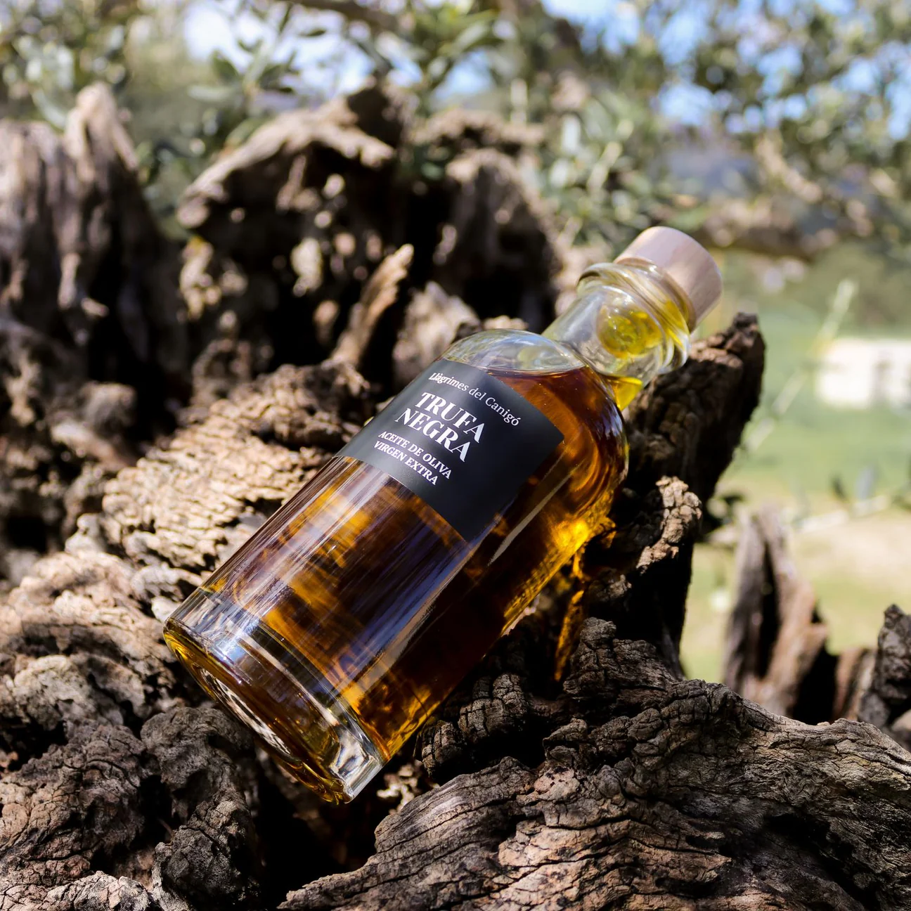 Black Truffle Infused Extra Virgin Olive Oil – 250ml / 8.45 fl oz – Llàgrimes del Canigó-2