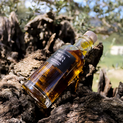 Black Truffle Infused Extra Virgin Olive Oil – 250ml / 8.45 fl oz – Llàgrimes del Canigó-2
