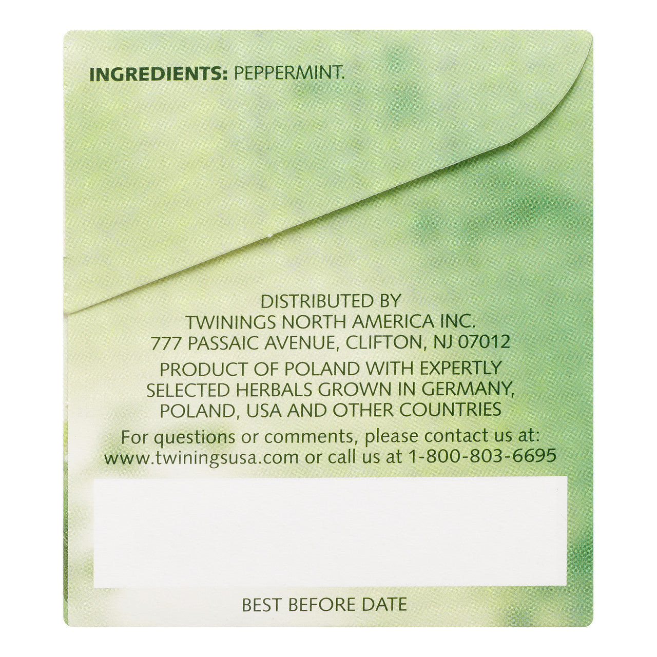 Twinings Pure Peppermint Tea (6x20 Bag)-4