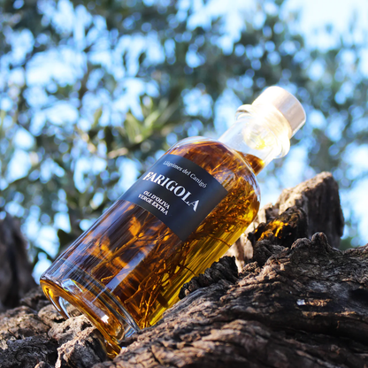 Thyme Infused Extra Virgin Olive Oil – 250ml / 8.45 fl oz – Llàgrimes del Canigó-2