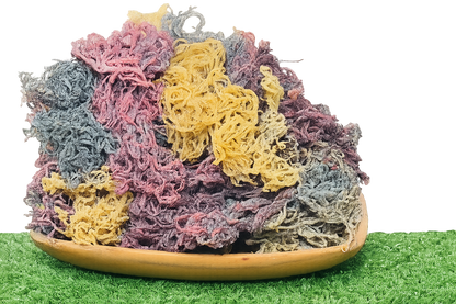 Full Spectrum Seamoss: Nature's Nutrient-Packed Treasure-2