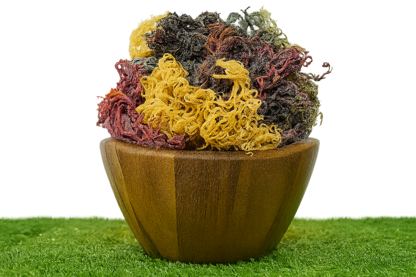 Full Spectrum Seamoss: Nature's Nutrient-Packed Treasure-4