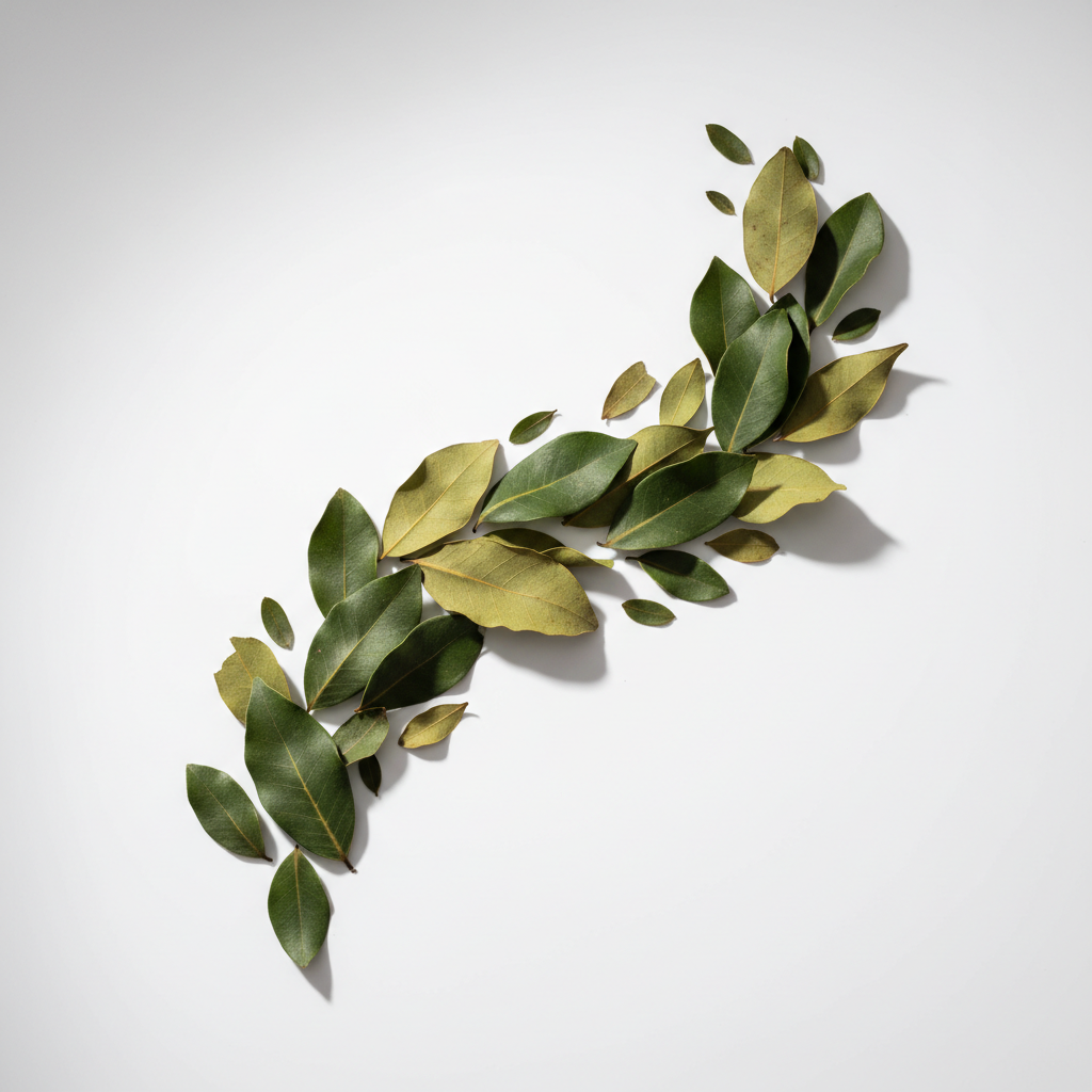 Soursop Leaves Dried-4